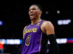 米兰体育app入口 丹佛整体淋浴房 